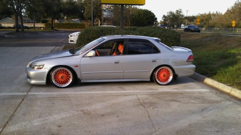 encore brandz company tampa 33604 768x432