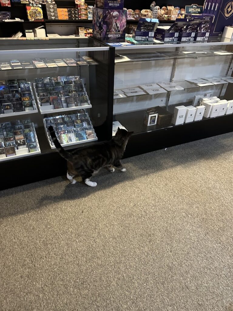 gravity games huntsville 35805 768x1024