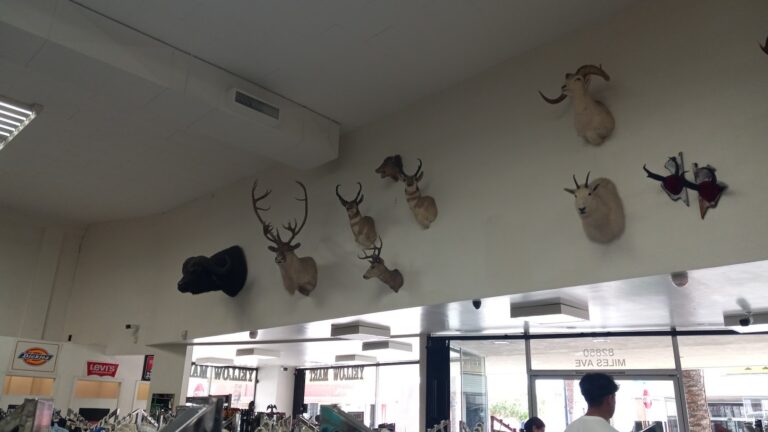 jernigan s sporting goods inc indio 82740 768x432