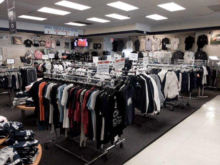 lion cub state college 16801 768x575