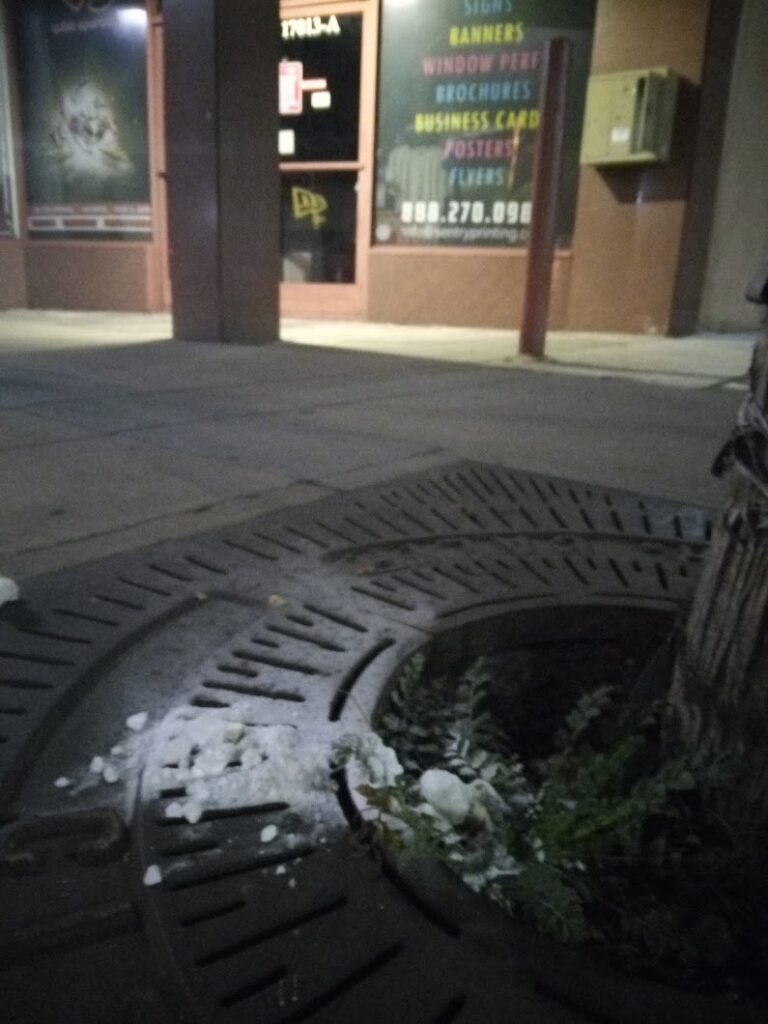 quick sports bellflower 17013 768x1024