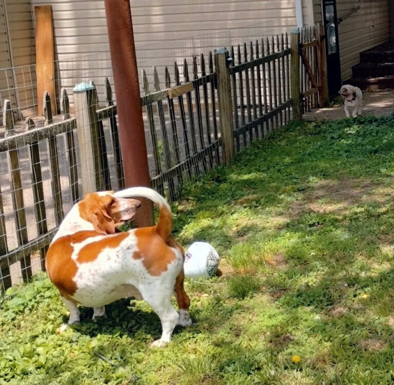 rack n cue billiard supply owensboro 42303 768x750