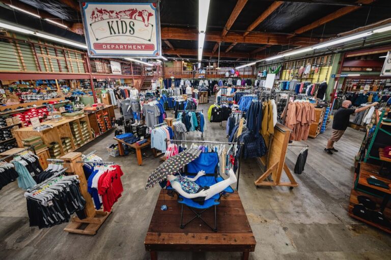 sports basement walnut creek walnut creek 94598 768x511