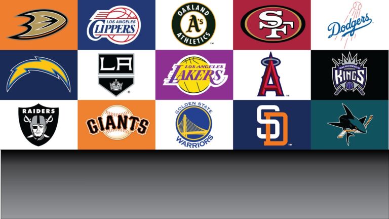 sports fever redding 96003 768x432