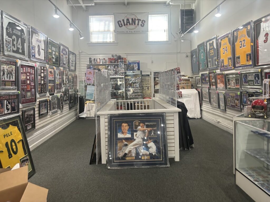 strike zone petaluma 94952 1024x768