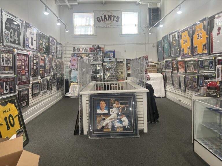 strike zone petaluma 94952 768x576